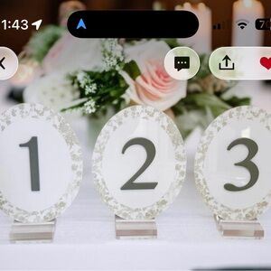 Wedding Elegant Sage Table Number Set (1-9)